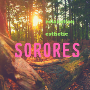 ～SORORES～経絡リンパマッサージ・かっさ・カッピングサロン～