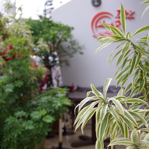 タイ屋台料理アルン