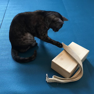 ニューヨークの日本語によるアイアンガーヨガクラスです。