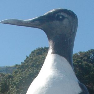 冬の天売島で感動体験！地域おこし協力隊と行くスノーシューツアー