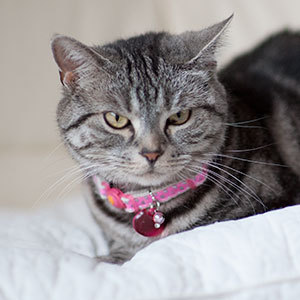 売市パソコン教室