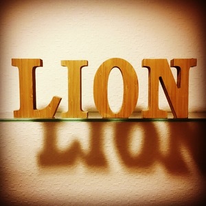 nail&eyelash Lion (ネイル&アイリッシュ リオン)