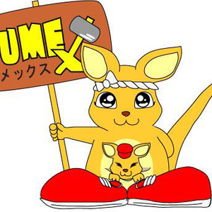 株式会社ユメックス