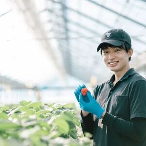 🍓AGBERRY🍓いちご狩り (Day and Night)＆直売🍓