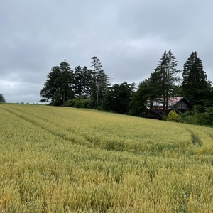 ナガヌマ町ハナレ（BPSPOffice）