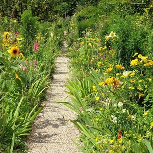 atelierfloralies