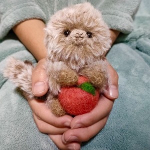 マーモセットケア