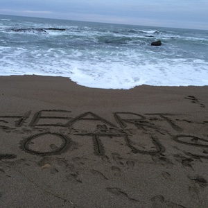 エアーヨガ HEART LOTUS