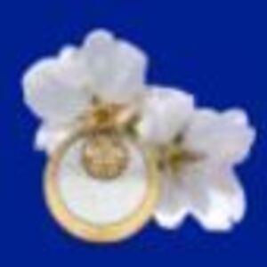 主催　東京地方税理士会 緑支部