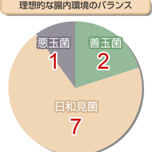 イグチジュンコ