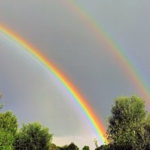 bodytherapy・studio　bracing・f