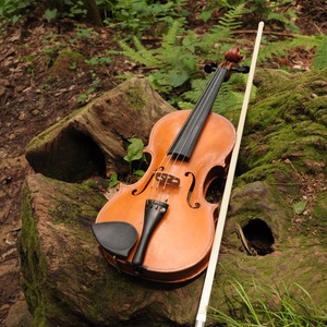 ヴァイオリニスト松本有希子 演奏依頼