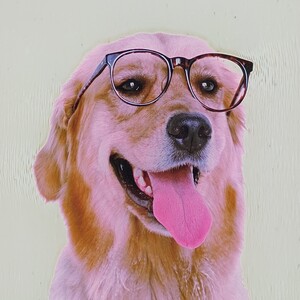 メガネのフィットアイ