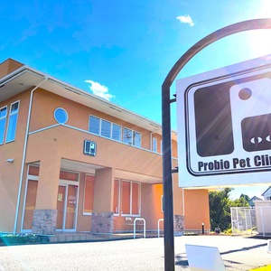 プロビオペットクリニックのトリミング