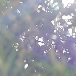 女性専門 パーソナルトレーニングジム ハピネス