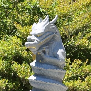 天上の龍神様　天津神大龍神宮