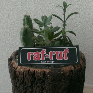 raf-ruf（ラフラフ）