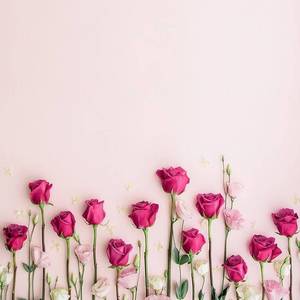 ホリスティクヨガスタジオ Heal garden