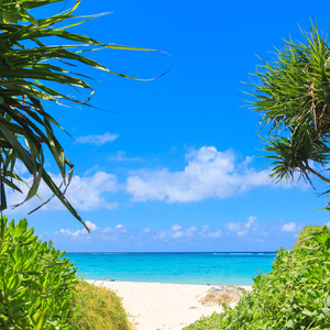 churaumi terrace therapy room