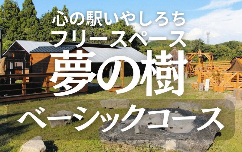 フリースペース夢の樹【ベーシックコース】