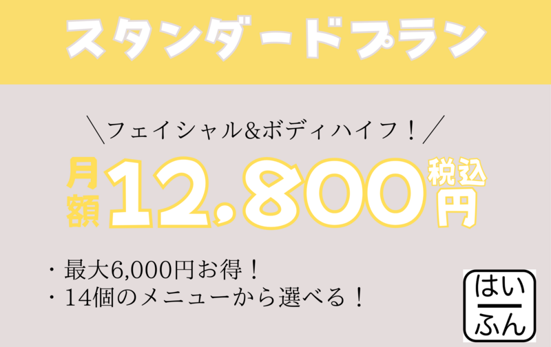 スタンダードプラン