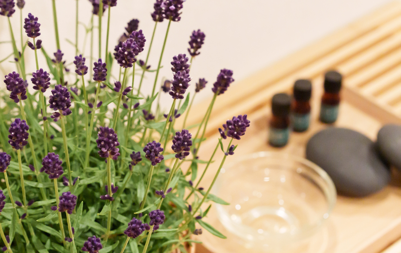 ピラティス会員アロマボディトリートメント 1回チケット