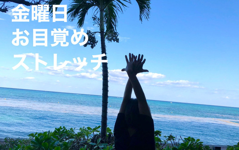 オンラインストレッチ月8回コース