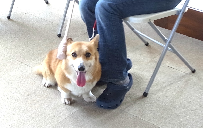 カウンセリング／単発レッスン（60分）