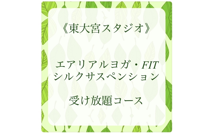 《東大宮スタジオ》エアリアル受け放題コース［翌月］