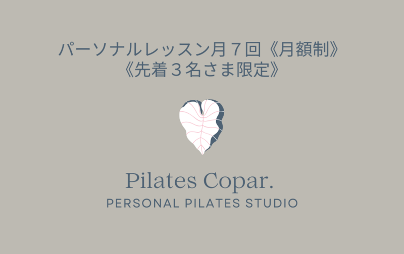 パーソナルレッスン月７回《月額制》
