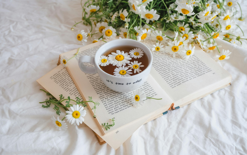 守られるだけでいい心体回復ヒーリング（毎月2名限定）