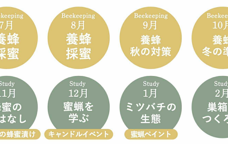 【ビジター用】養蜂プログラム1回チケット