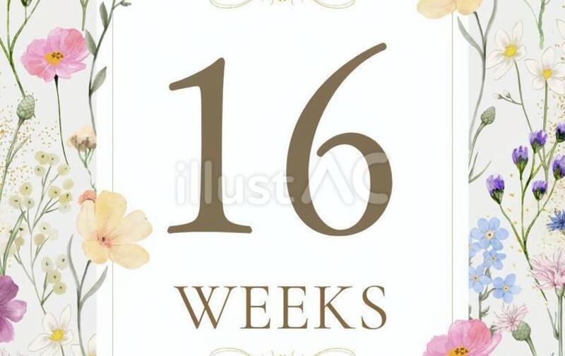 16week16回チャレンジ