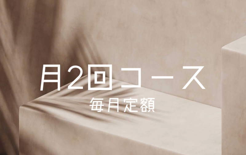 月2回コース/月額定額