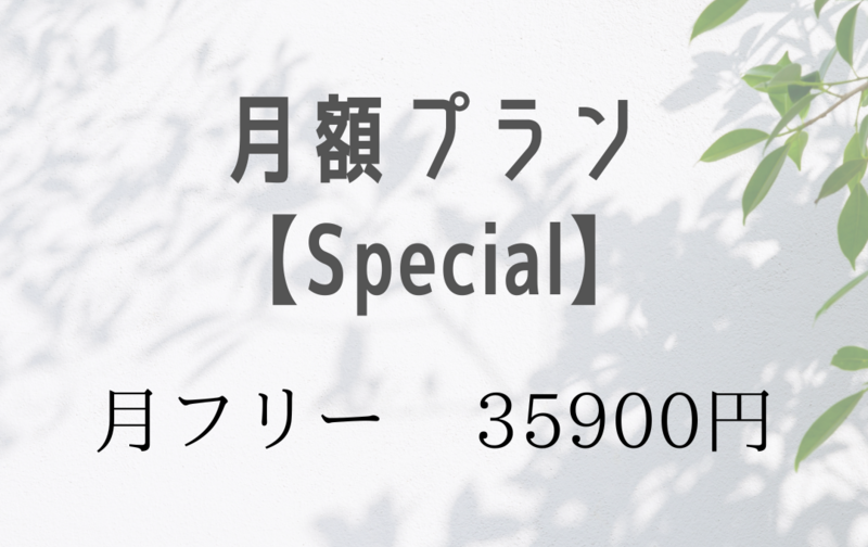 月額プラン【Special】月フリー