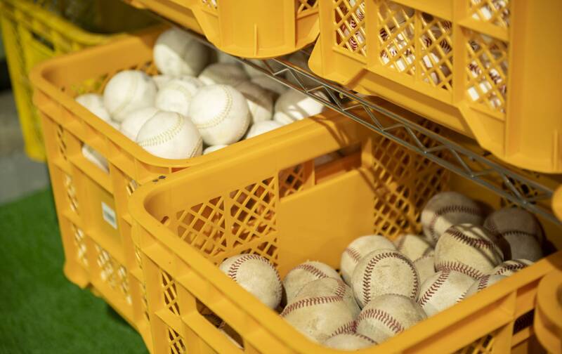 アカデミー（年間システム使用料）