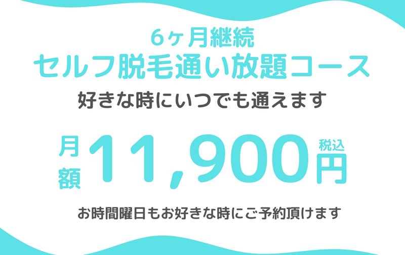 6ヶ月契約 セルフ脱毛 通い放題コース　初月無料
