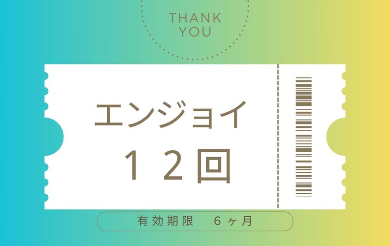 エンジョイ　１２回チケット　