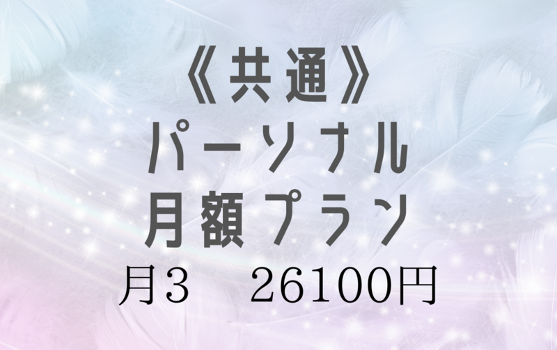 《共通》パーソナル月額プラン【月3】