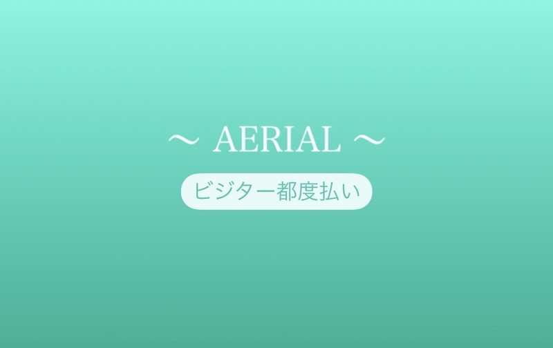 《東大宮・三郷共通》AERIAL［非会員/都度払い］