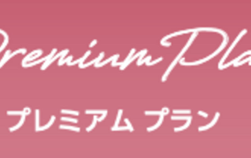 〈新〉プレミアムプラン