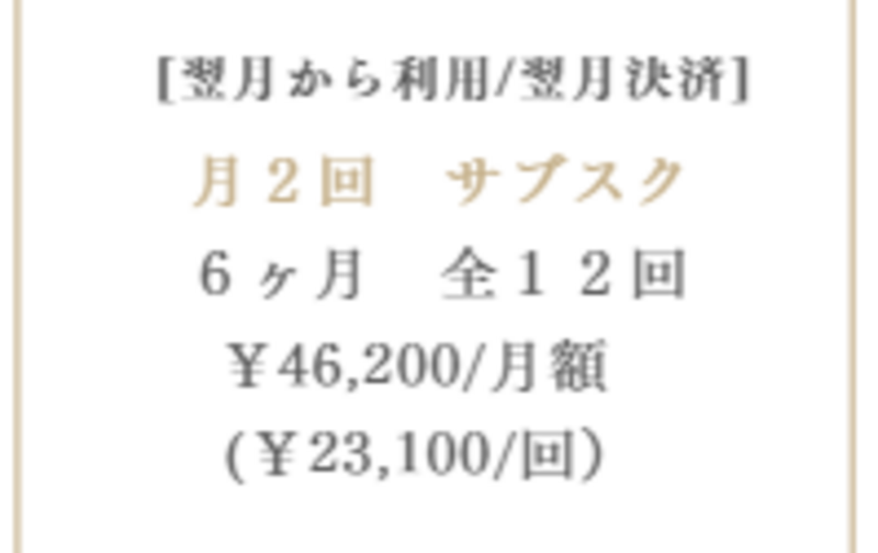 翌月から利用/翌月決済【月２回】全１２回_６ヶ月コース