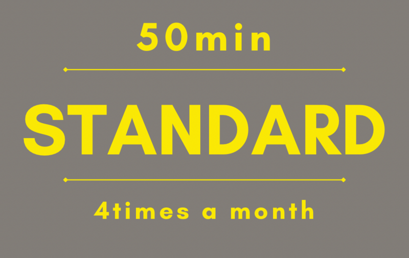 スタンダード50分/月4回コース