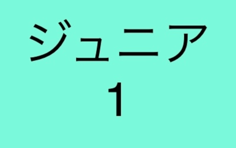 月２回コース（ジュニア１）平日・日曜受講可能