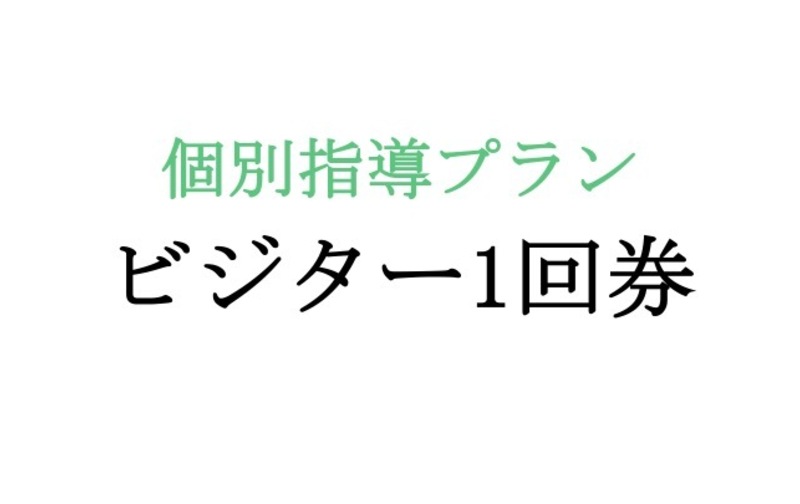 個別指導ビジター１回券