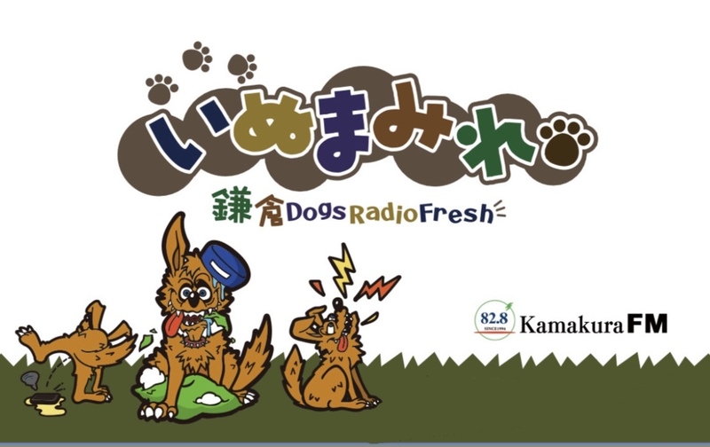 アカデミー【犬の学校】　ピストルk９/kamakura-dogs.jp【月/週１回コース全４回】