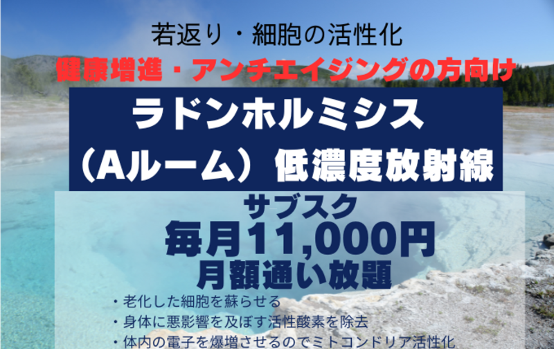サブスク型【定額通い放題】ラドンホルミシスルーム（Aルーム）