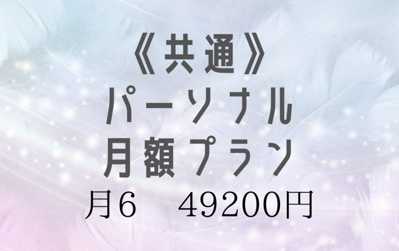 《共通》パーソナル月額プラン【月6】