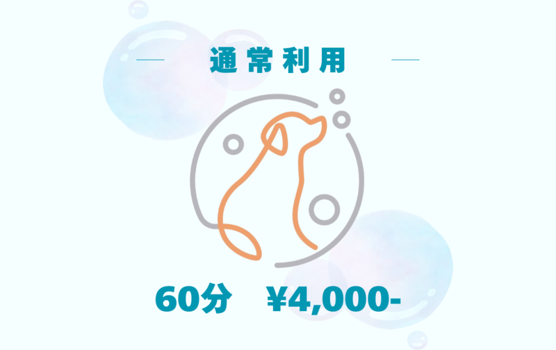 通常利用【60分　1回分】（4,000円）