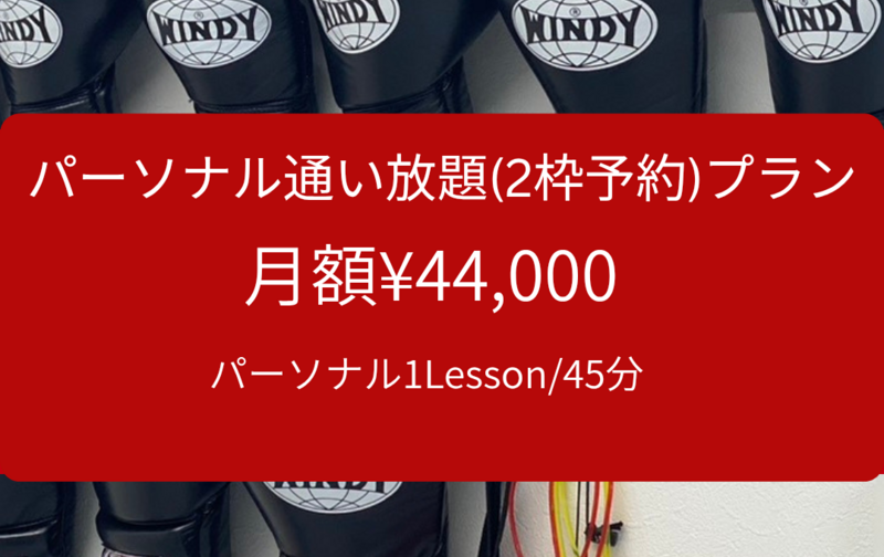 パーソナル通い放題(2枠予約)プラン